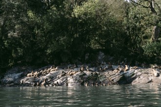 Kayak - Llancahue